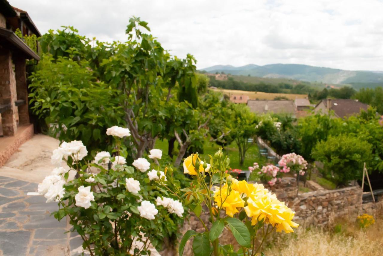 Casa Rural, Spa Y Restaurante El Huerto Del Abuelo Almiruete Dış mekan fotoğraf